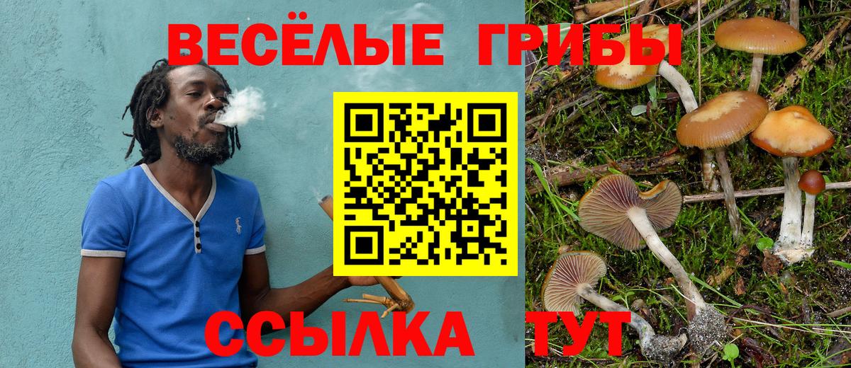 как найти наркотики  Галлюциногенные грибы Psilocybine cubensis  Вход с VPN  Мыски  Псилоцибиновые грибы Cubensis 