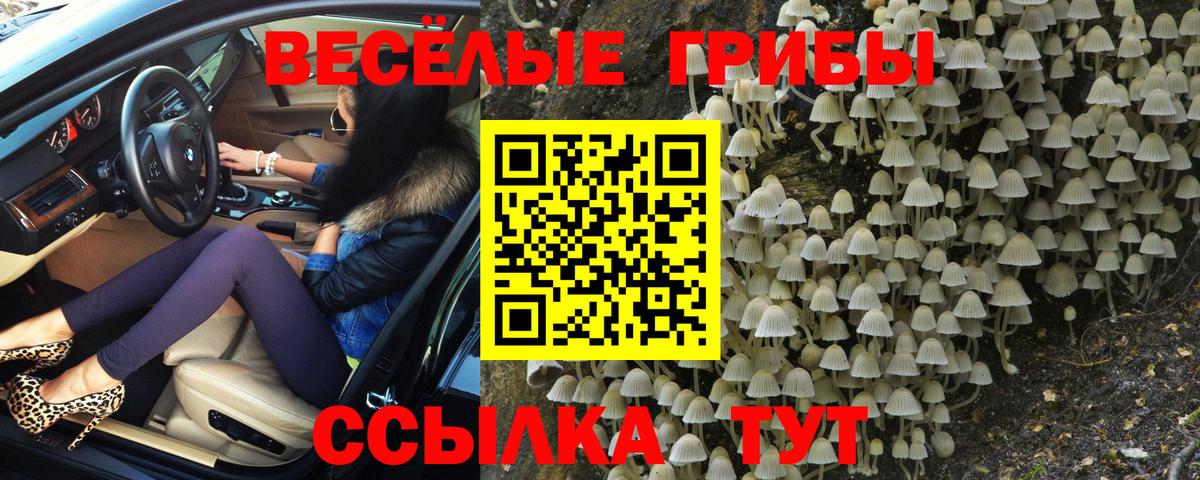 Галлюциногенные грибы прущие грибы Мыски